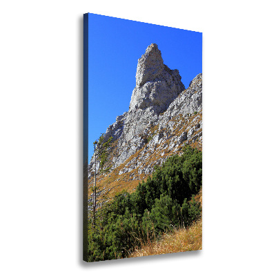 Canvas wall art Little Giewont Tatry