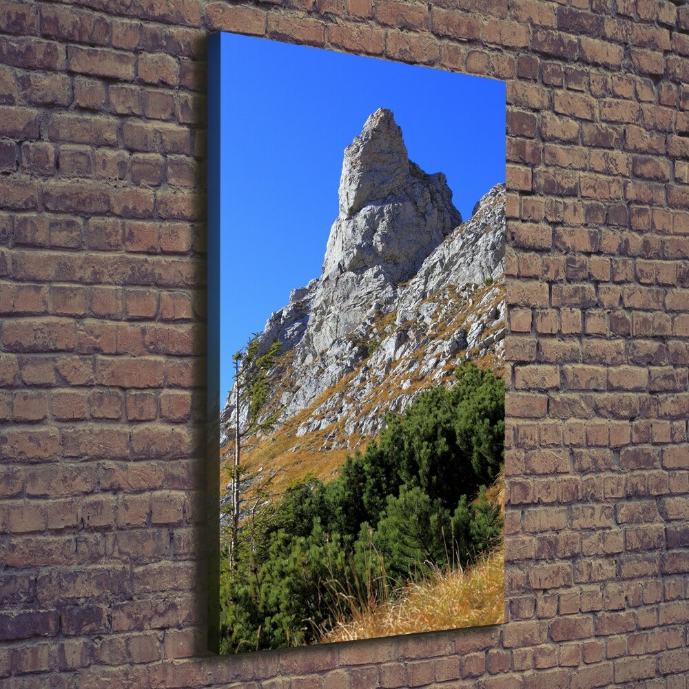 Canvas wall art Little Giewont Tatry