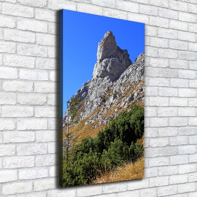 Canvas wall art Little Giewont Tatry