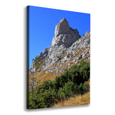 Canvas wall art Little Giewont Tatry