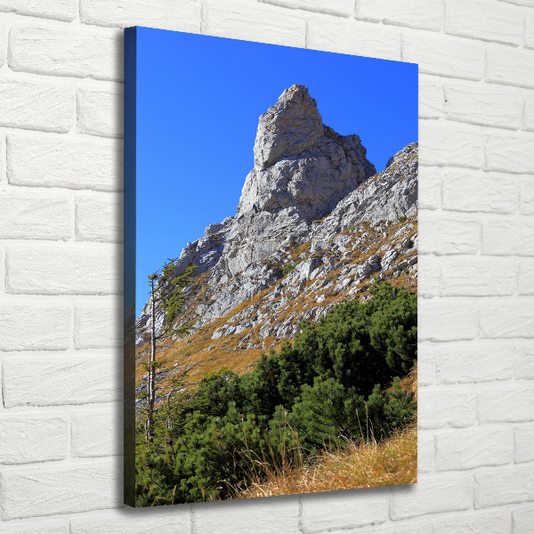 Canvas wall art Little Giewont Tatry