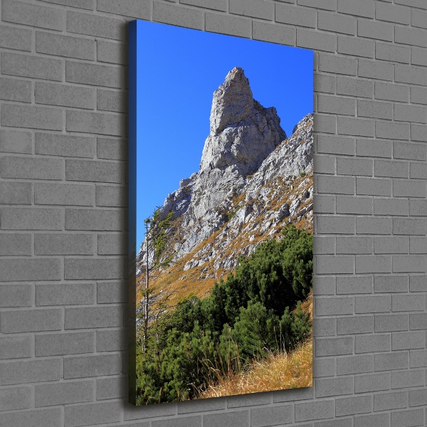 Canvas wall art Little Giewont Tatry