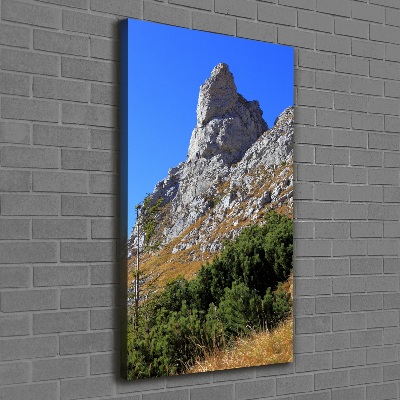 Canvas wall art Little Giewont Tatry