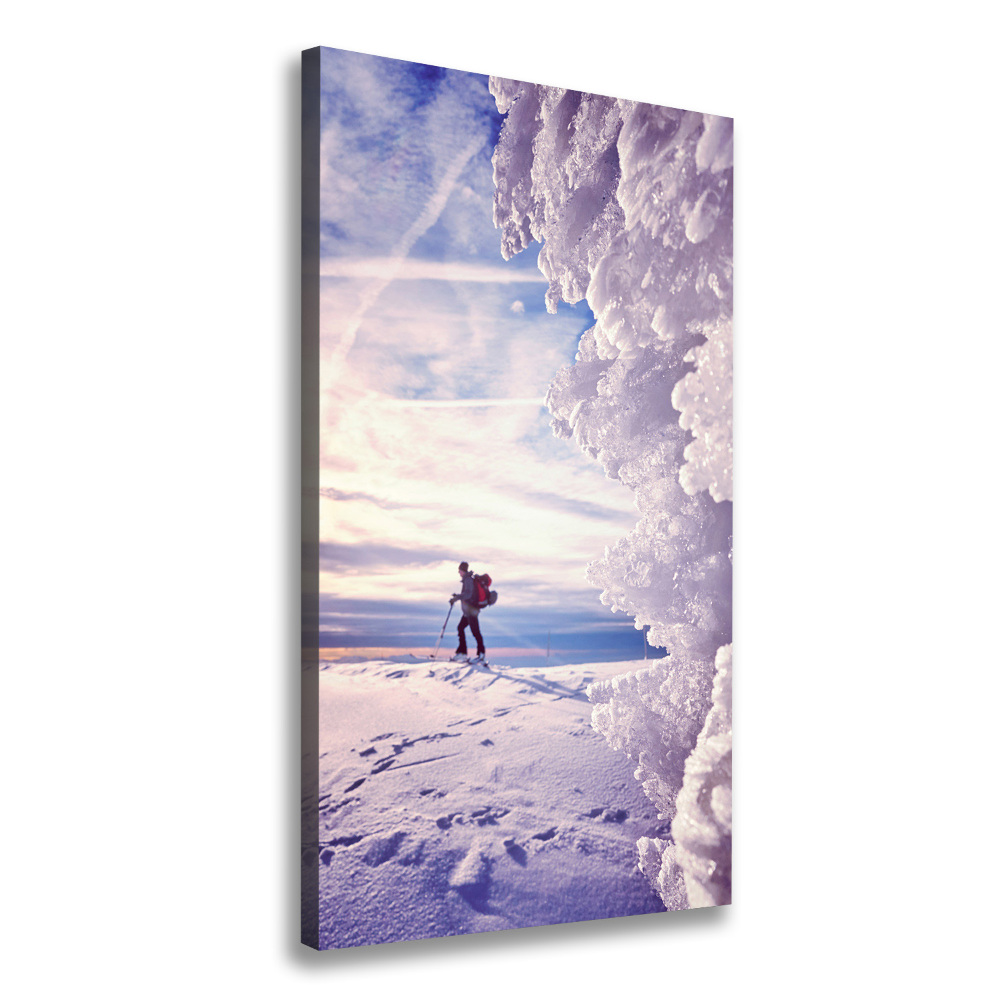 Large canvas wall art Skier