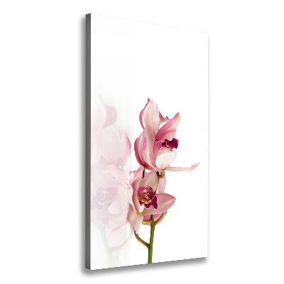 Canvas print Pink orchid