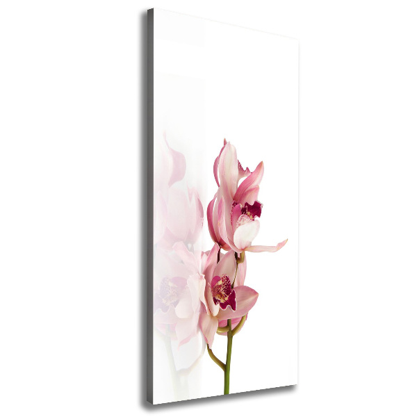 Canvas print Pink orchid