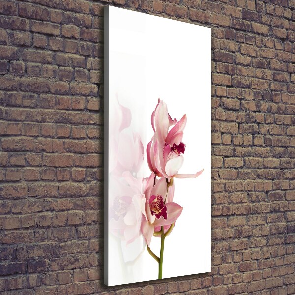 Canvas print Pink orchid