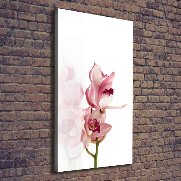 Canvas print Pink orchid