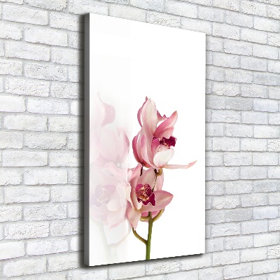 Canvas print Pink orchid