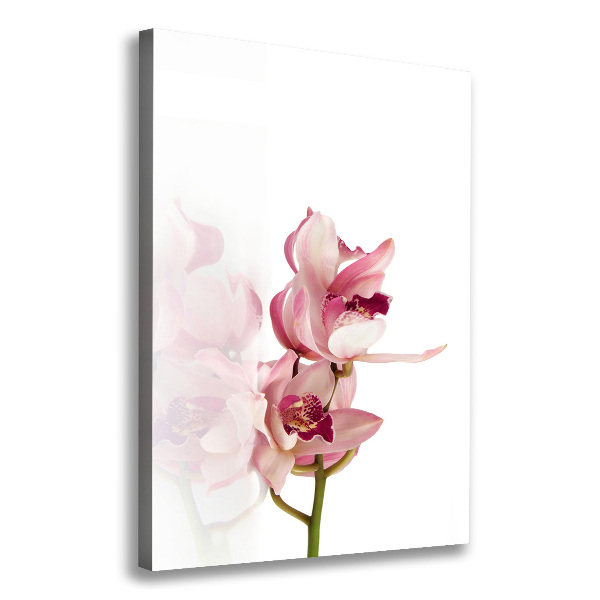 Canvas print Pink orchid