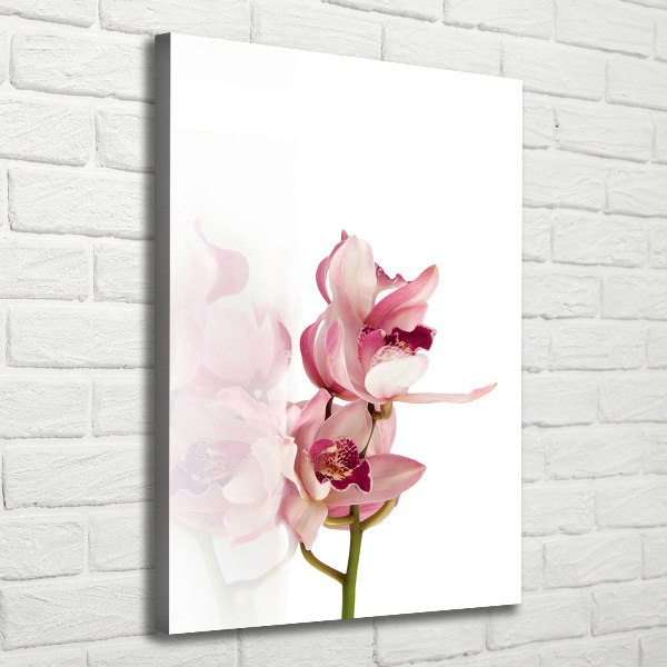 Canvas print Pink orchid