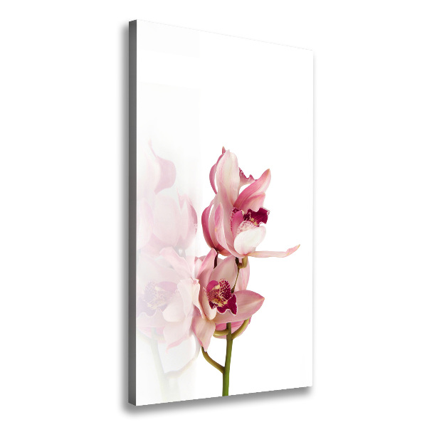 Canvas print Pink orchid