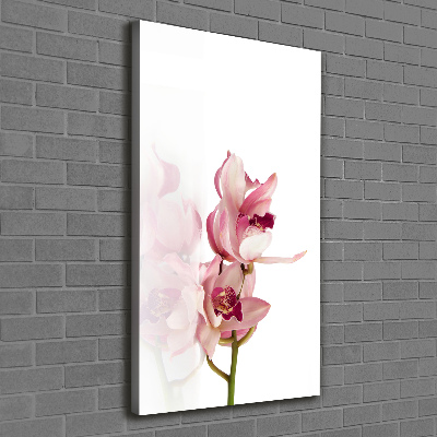 Canvas print Pink orchid