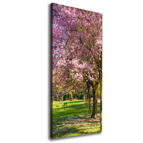 Canvas wall art Cherry trees