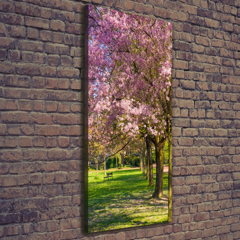 Canvas wall art Cherry trees