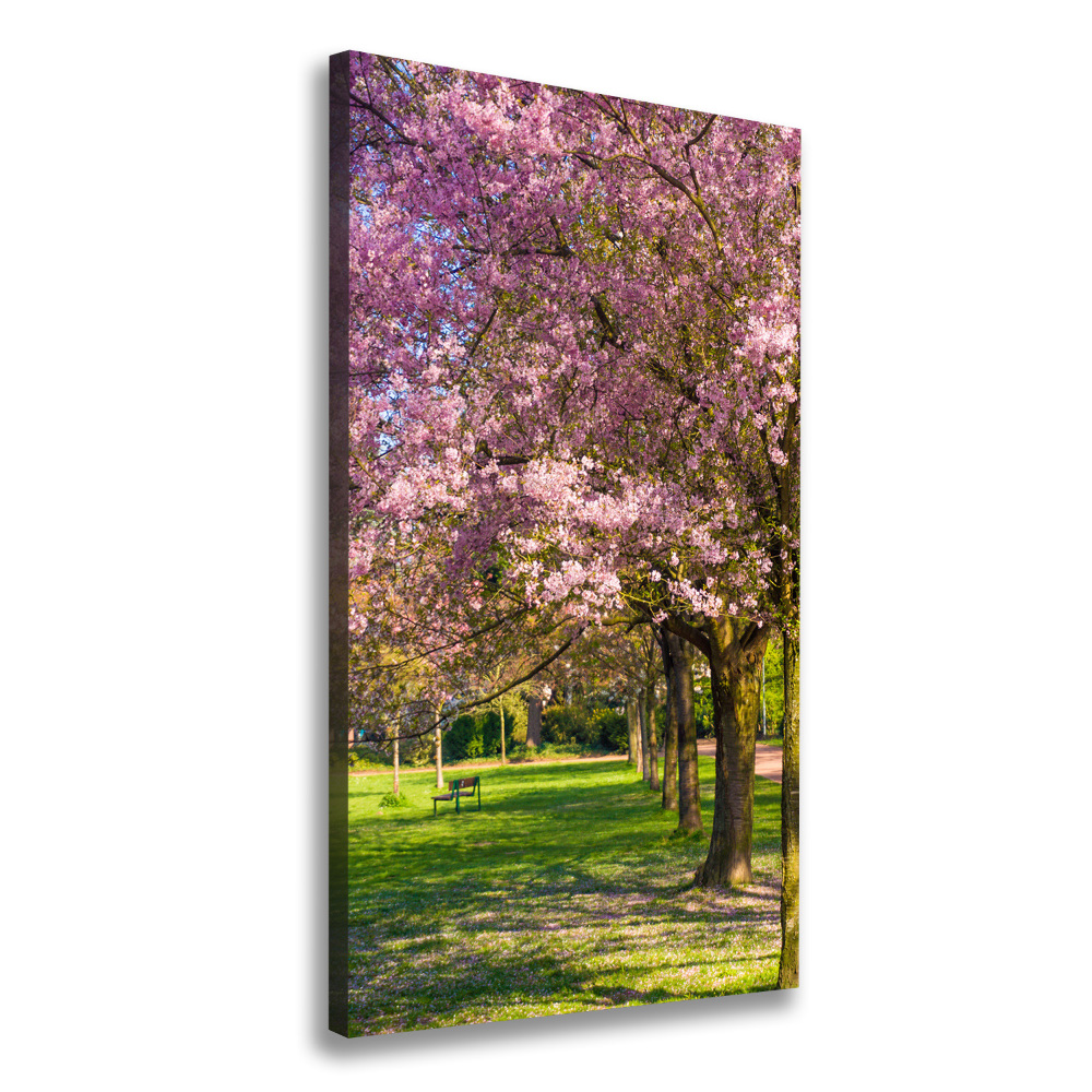 Canvas wall art Cherry trees