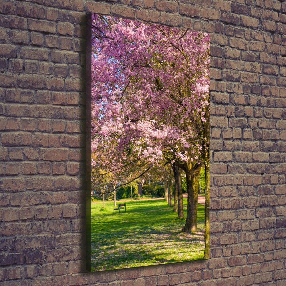 Canvas wall art Cherry trees