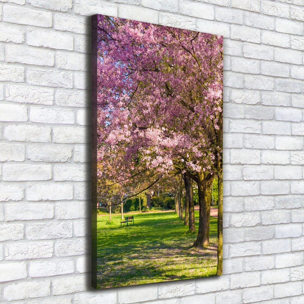 Canvas wall art Cherry trees