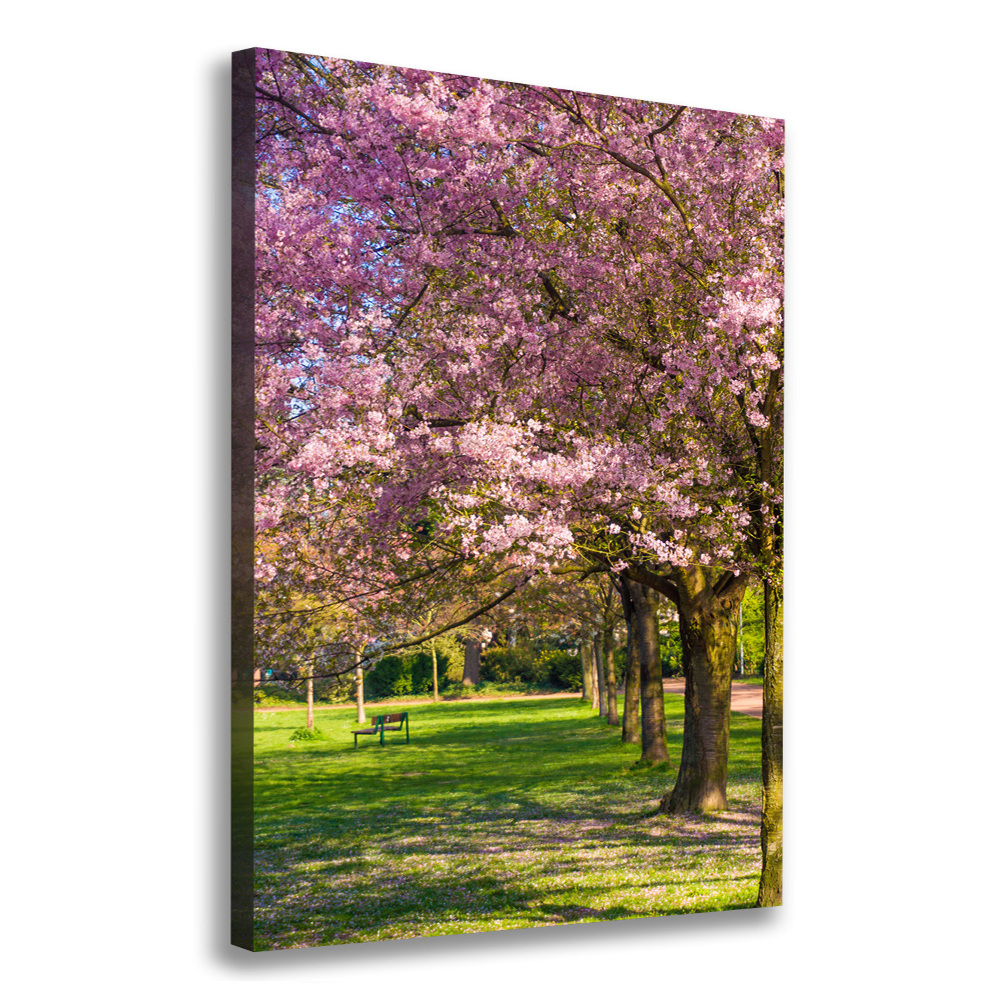 Canvas wall art Cherry trees