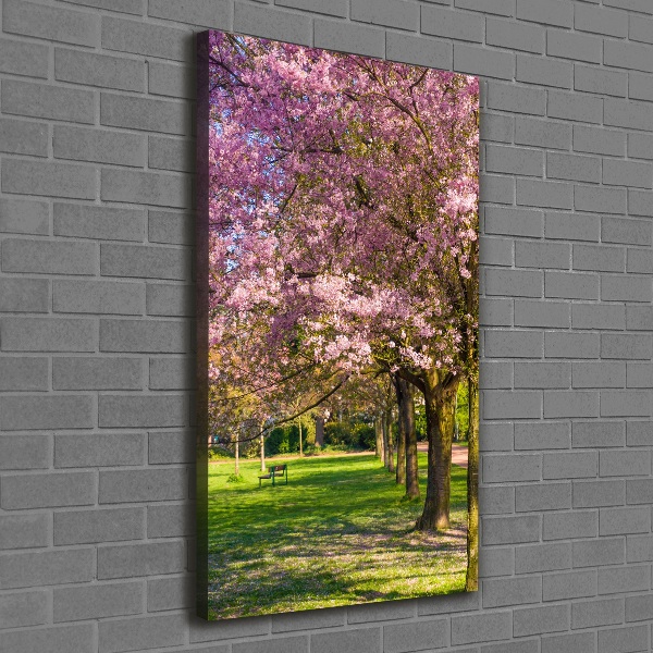 Canvas wall art Cherry trees