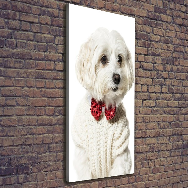 Canvas wall art Maltese in a bow tie