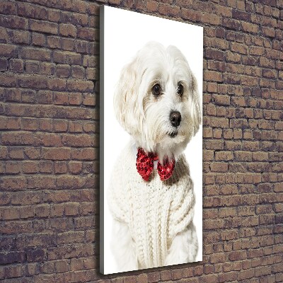 Canvas wall art Maltese in a bow tie