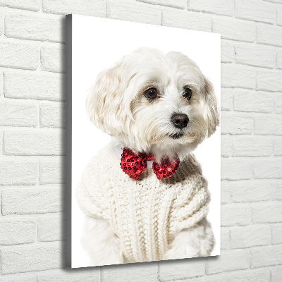 Canvas wall art Maltese in a bow tie