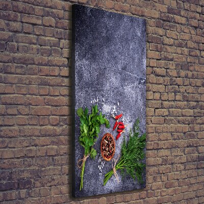 Large canvas wall art Herbs and spices