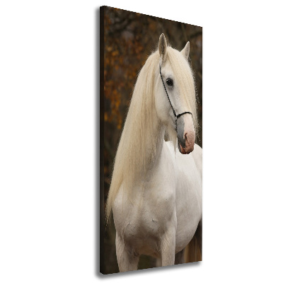 Canvas wall art White horse