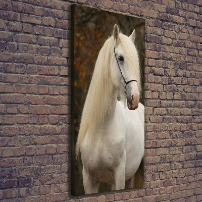 Canvas wall art White horse