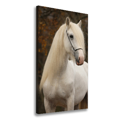 Canvas wall art White horse