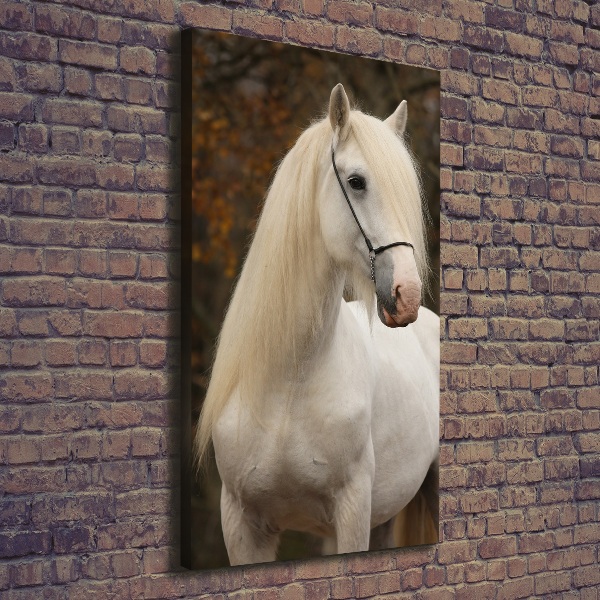 Canvas wall art White horse