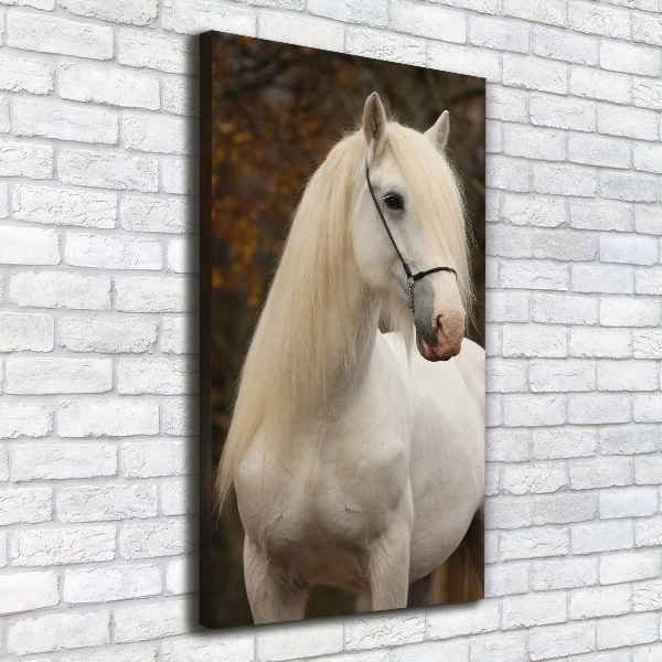 Canvas wall art White horse