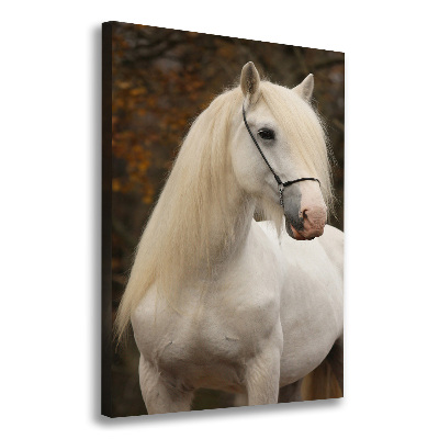 Canvas wall art White horse