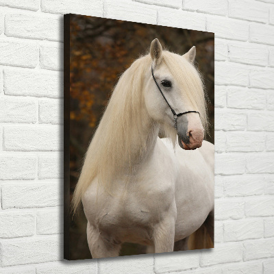 Canvas wall art White horse