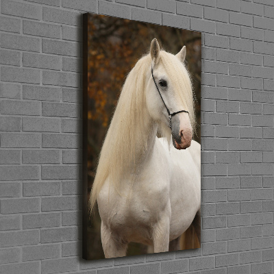 Canvas wall art White horse