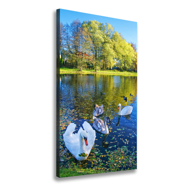 Canvas wall art Swans on the pond