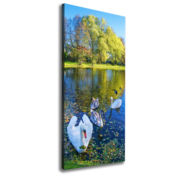 Canvas wall art Swans on the pond