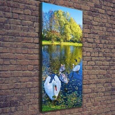 Canvas wall art Swans on the pond