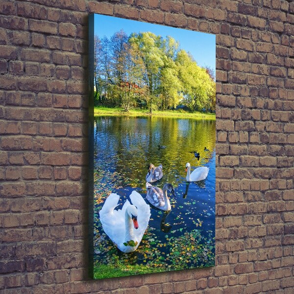 Canvas wall art Swans on the pond