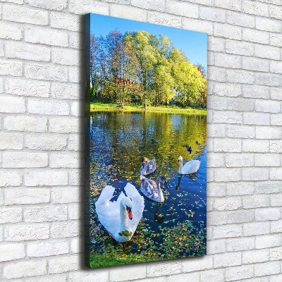 Canvas wall art Swans on the pond