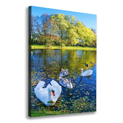 Canvas wall art Swans on the pond