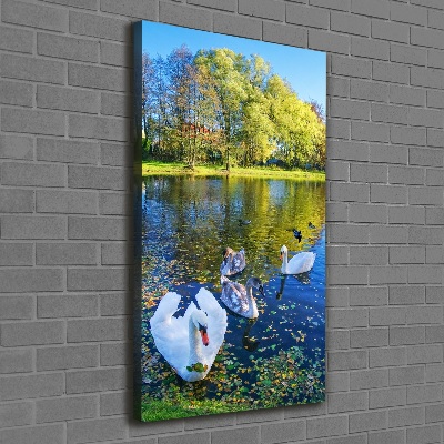 Canvas wall art Swans on the pond