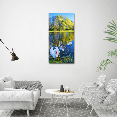 Canvas wall art Swans on the pond