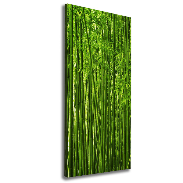 Canvas wall art Bamboo forest