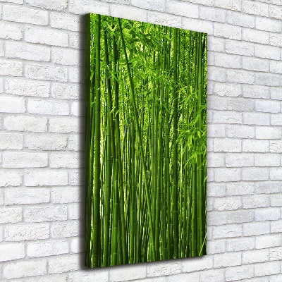 Canvas wall art Bamboo forest