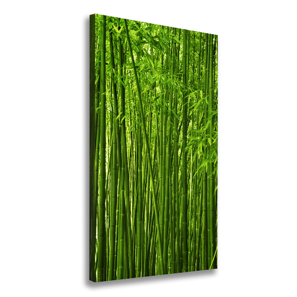 Canvas wall art Bamboo forest