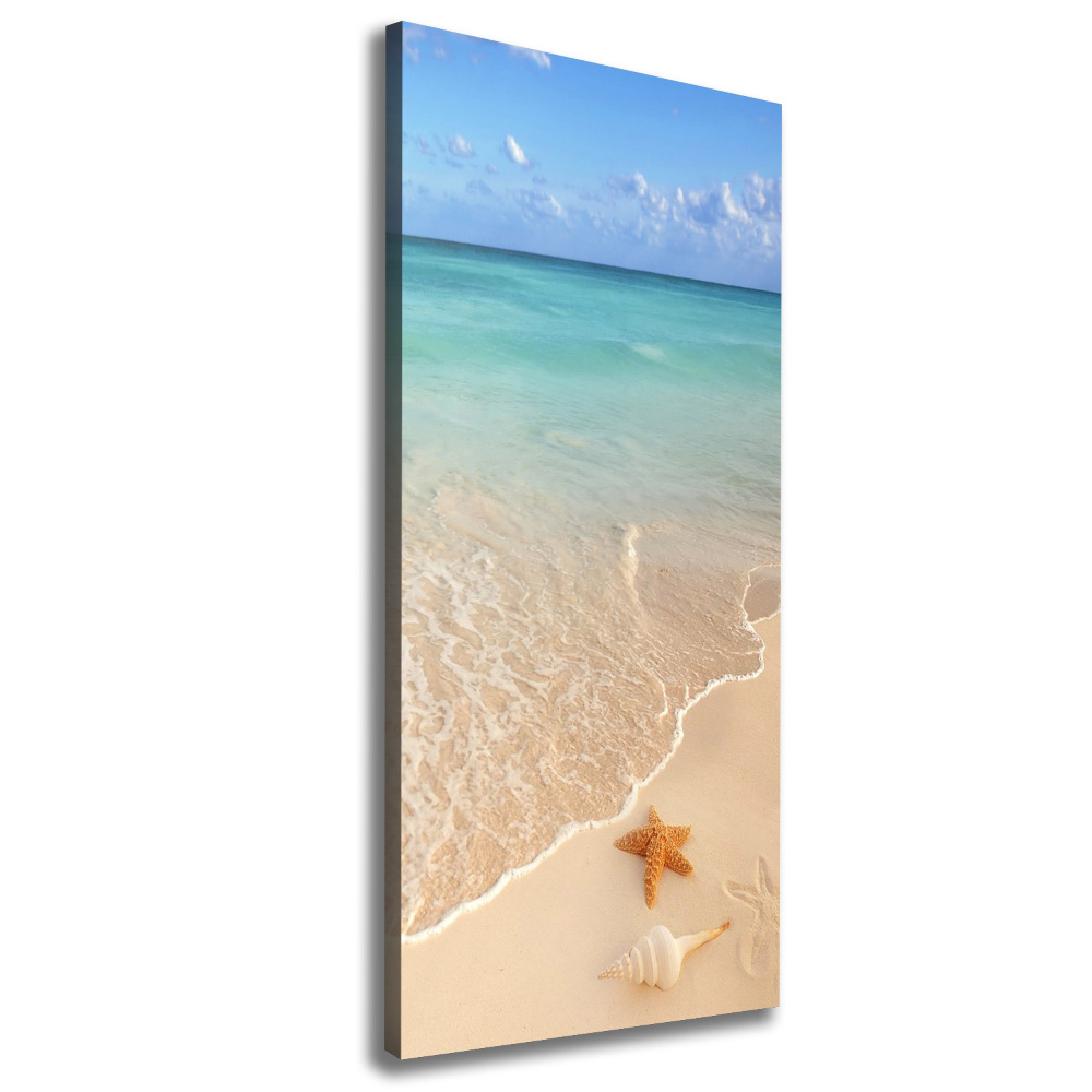 Canvas wall art Starfish