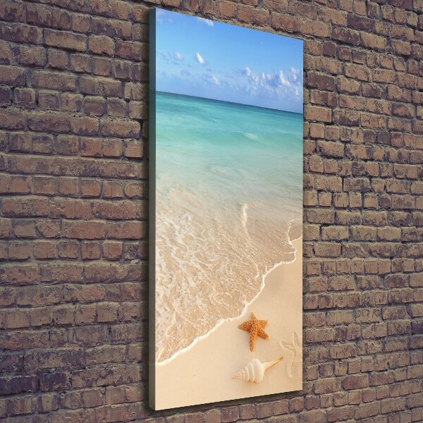 Canvas wall art Starfish