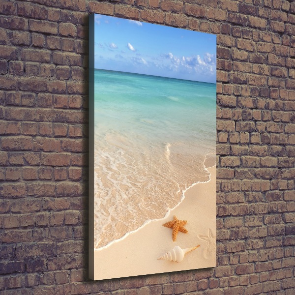 Canvas wall art Starfish